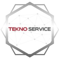 Teknoservice logo - Similar company to Mintroai