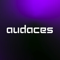 Audaces Digital logo - Similar company to Global E-Commerce