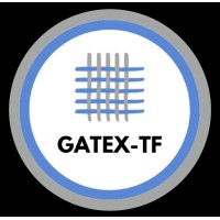 Gatex TfGate logo - Similar company to Substancedigital
