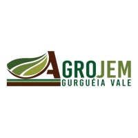 Agrojem Gurguéia Vale Ltda
