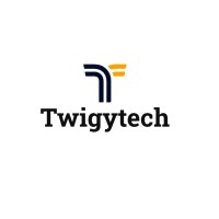 Twigytech Software Solution logo - Similar company to Webfuntech
