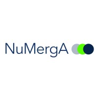 NuMergA logo - Similar company to Damona