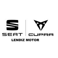 Lendiz Motor logo - Similar company to Remaned Group