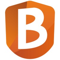 Bayco Consulting logo - Similar company to Linktech