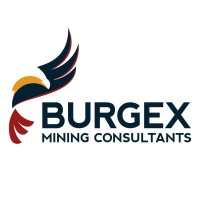 Burgex Mining Consultants logo - Similar company to Uasidekick