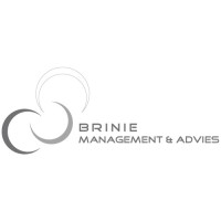 Brinie Management & Advies logo - Similar company to Decenterx (The Blockchain Company)