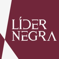 LÍDERNEGRA logo - Similar company to Conselheira101