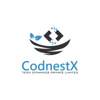 CodnestX logo - Similar company to Cloudologix