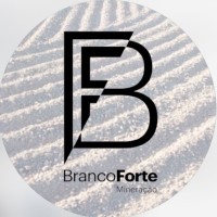 Branco Forte Mineração logo - Similar company to Agronegócio Financeiro
