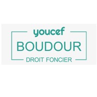 Youcef Boudour Conseiller droit foncier logo - Similar company to Exclusive Labs