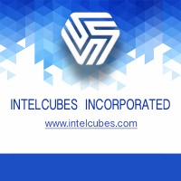 Intelcubes Incorporated logo - Similar company to Data Sentinel Inc.