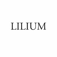 Lilium Jewelry logo - Similar company to Yvris