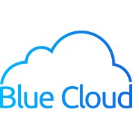 Blue Cloud IT logo - Similar company to Concept It Services