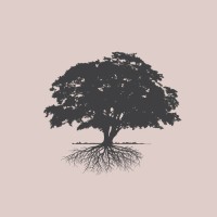 Copper Beech Consulting logo - Similar company to Copper Beech Financial Group, Llc