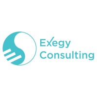 Exegy Consulting logo - Similar company to Veda Institute Of Technologies