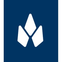 Palmetto Design+Build logo - Similar company to G3 Design Build