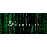 P3 Digital Solutions