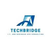 TechBridge Consulting Group LLC logo - Similar company to Techbridge Group
