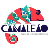 Núcleo Camaleão logo - Similar company to Camaleãoverde
