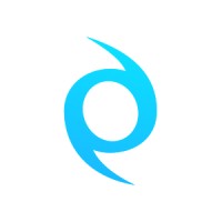 Netstorming • Travel technology company logo - Similar company to Panasoft Travel Technology Company