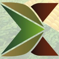Enxerto Agro Consultoria Comercial logo - Similar company to Cooperativa Dos Produtores Rurais Planalto Central - Cooplan