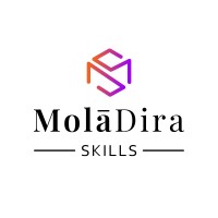 Moladira Skills logo - Similar company to Linkfields Innovations (Pty) Ltd