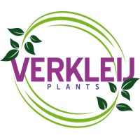 Verkleij Plants logo - Similar company to Slagerij Billet