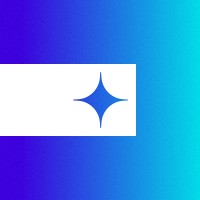 Codeshine logo - Similar company to Datalize