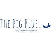 The Big Blue logo - Similar company to Proton Employment