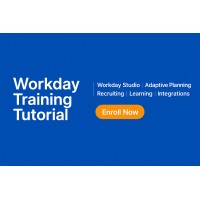 Workday Training Tutorial logo - Similar company to Workday Tenent Access