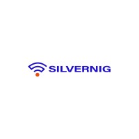 Silvernig logo - Similar company to Muvio Solutions Ltd