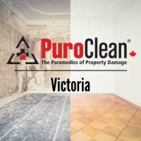 PuroClean Restoration Victoria logo - Similar company to Sa Business Launchpad