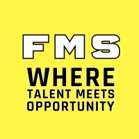 Fair Match Solutions logo - Similar company to Innovexa Solution