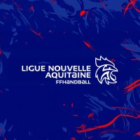 Ligue Nouvelle-Aquitaine de Handball logo - Similar company to Visiopôle - Lagord / Surgeres