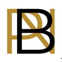 The Black Professional Network logo - Similar company to The Black Professionals Network