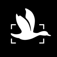 DCOY Studios logo - Similar company to Engelhardt Creative