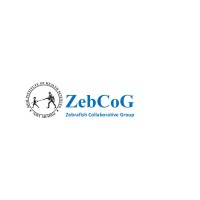 ZebCoG - Zebrafish Laboratory logo - Similar company to Musomint Broadcasting And Media