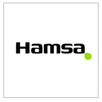 Hamsa logo - Similar company to Vemini