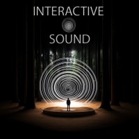 Interactive Sound production logo - Similar company to Immersive B.B.