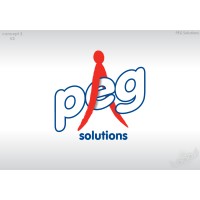 Peter Hirst Coaching logo - Similar company to Artemis Infinity