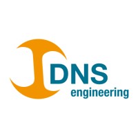 DNS Engineering logo - Similar company to Mavericks Bc