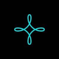 nova ai logo - Similar company to Nova Secure