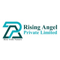 Rising Angel private limited logo - Similar company to Shockwave Solution Pvt Ltd