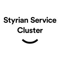 Styrian Service Cluster logo - Similar company to Fraiss It - Digital Solutions & Ai