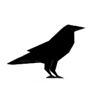 Raven Dynamics logo - Similar company to Kerdry