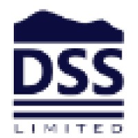 DS Solutions Ltd. logo - Similar company to Ds Solutions Private Ltd