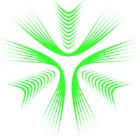 FLUX Car Charging Solutions logo - Similar company to Lyntra