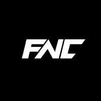 Fight Nation Championship logo - Similar company to Drkr Pxls