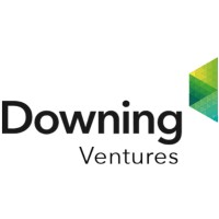 Downing Ventures logo - Similar company to Downing