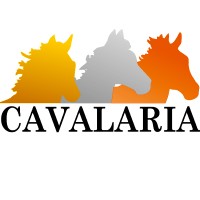 Cavalaria Shop logo - Similar company to Staeg